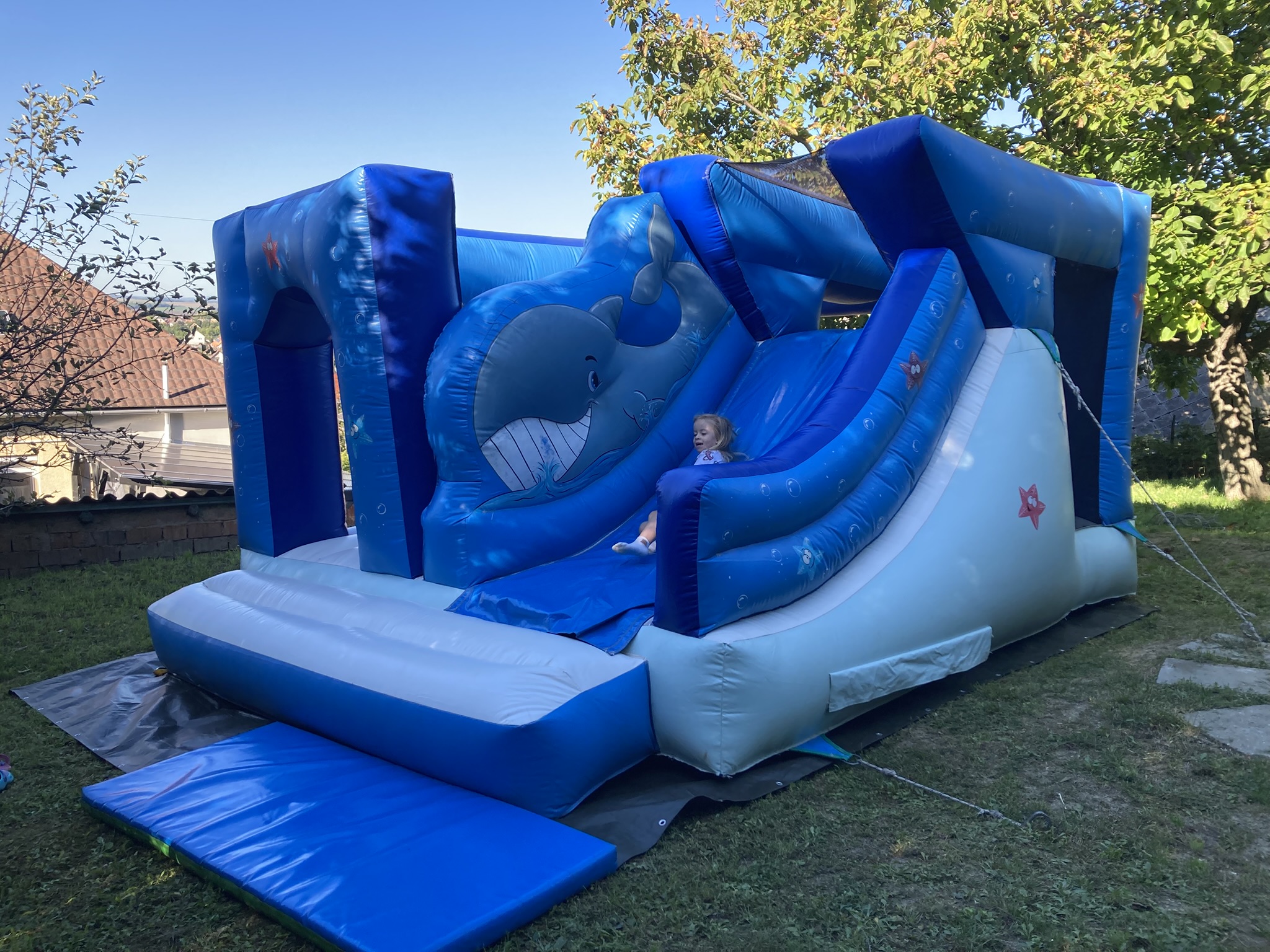 Bálnás illusztráció