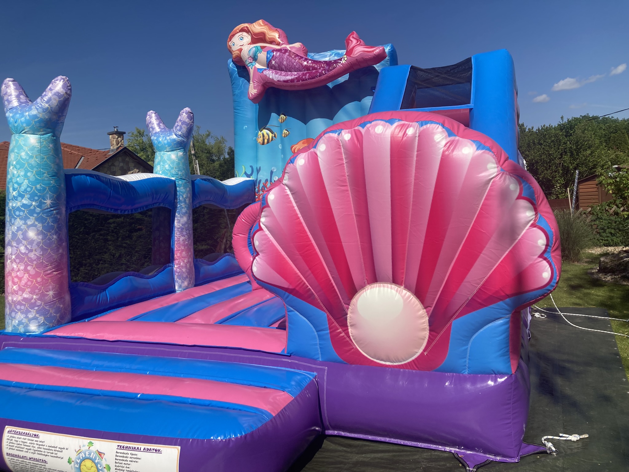 Sellős illusztráció